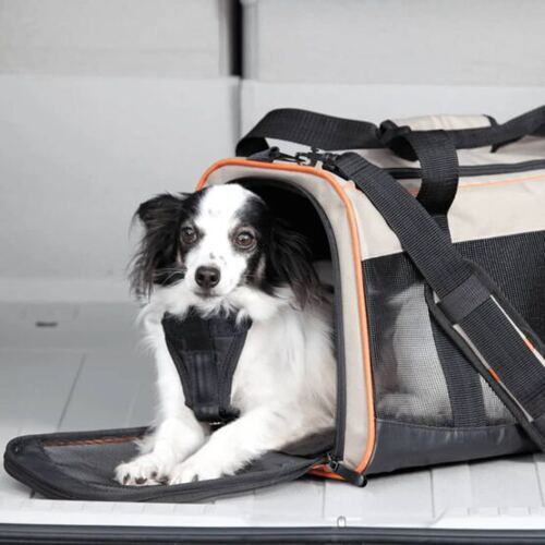 Hundetragtasche